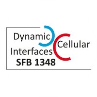 @sfb1348.bsky.social (@sfb1348) 's Twitter Profile