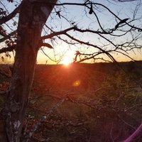 Stevey Hope (@sshopeshope) 's Twitter Profile