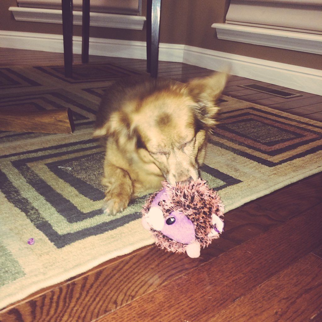 MantiaAnn's profile picture. Ya know cause life