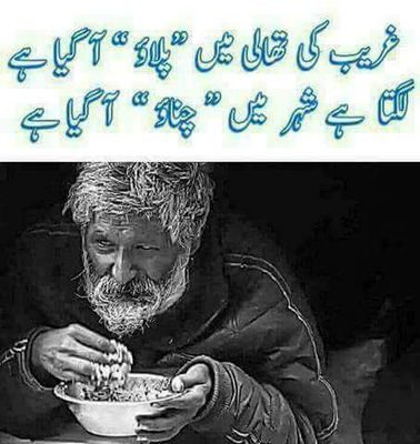 SaghirA09048405's profile picture. Sa