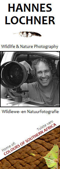 Professional Wildlife & Nature Photographer