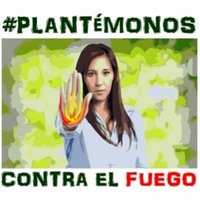 Esc. Ing. Agraria y Forestal (Campus Ponferrada) (@forestalesponfe) 's Twitter Profile