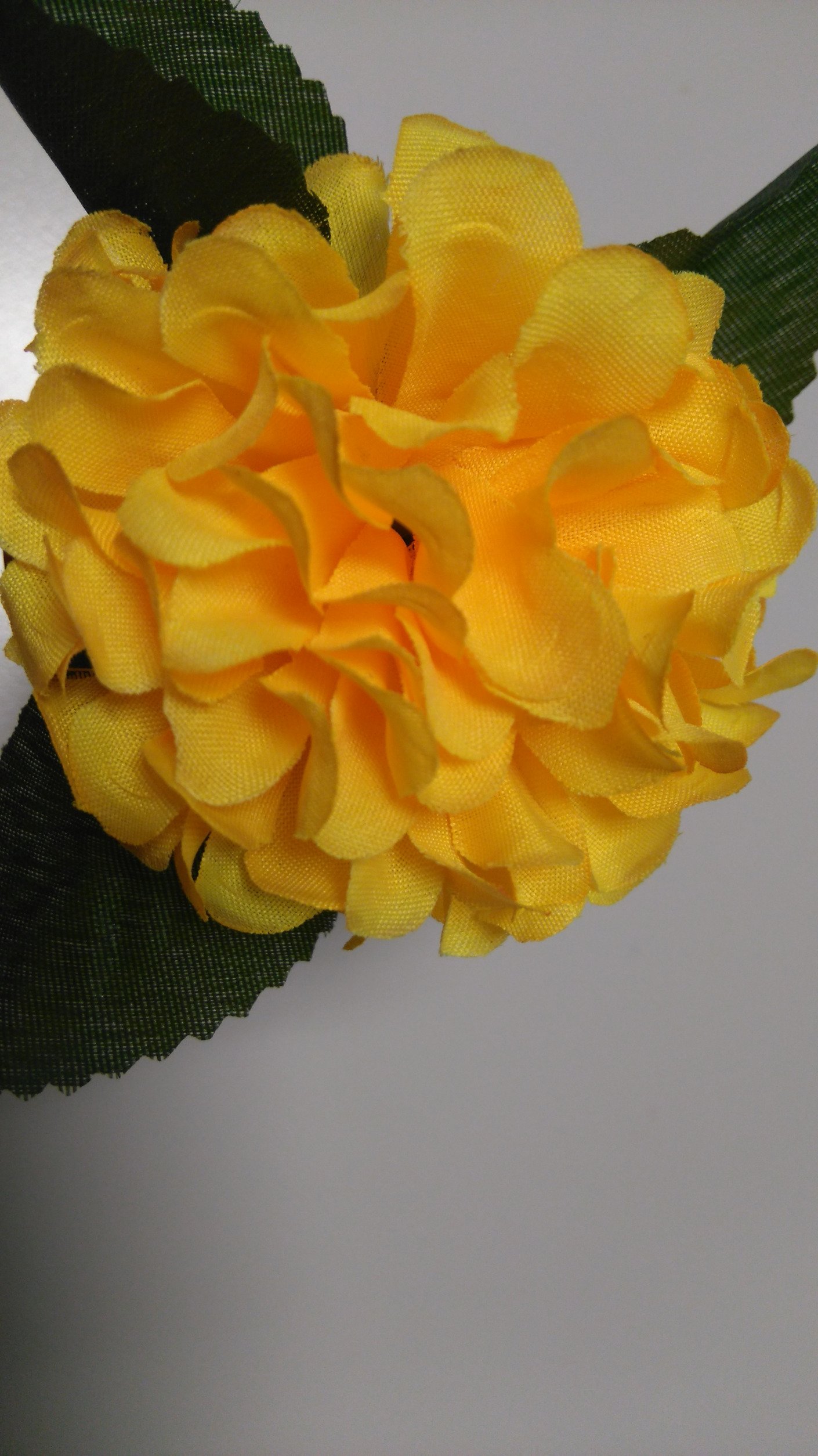 ConcepcioFerrer's profile picture. Potser existeix l'amor a primera vista, però no existeix la veritat al primer clic. C. Puigdemont