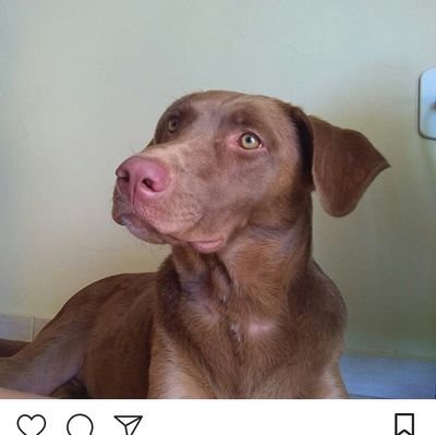 jackbento651's profile picture. 