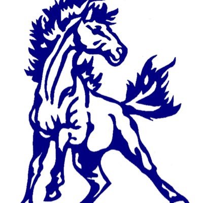 Official Twitter account of the 2017-18 Lourdes Mustangs #StangStang