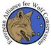 European Alliance for Wolf Conservation (@EuropeforWolves) Twitter profile photo