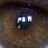 GazesAlso's profile image