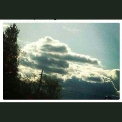 DavidRR03's profile picture. 