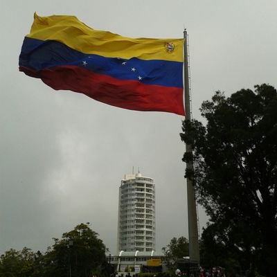 LissetMonroy's profile picture. 