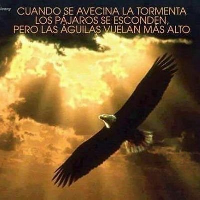 fmes1961's profile picture. 