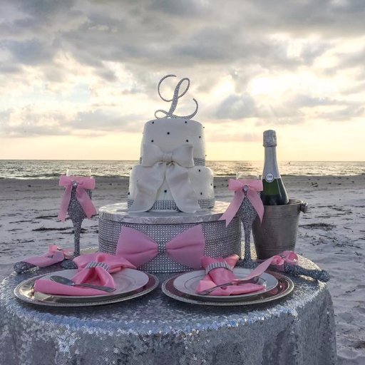 Beach Wedding, Florida Beach Wedding and Elopements,Wedding Design and Decor,Florida Destination Wedding,Wedding Reception, Wedding Planning, Wedding Officiant