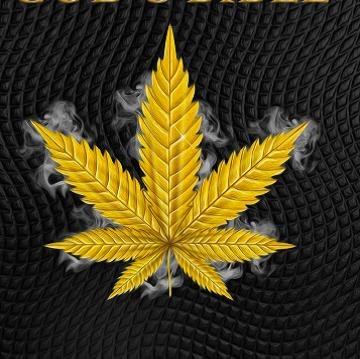 The Quintessential Quest for those that Question Quagmires.
Look out for our Kick starter campaign, be there first to own the 420 God's Bible