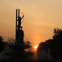 VECINO (@napolesvecino) 's Twitter Profile