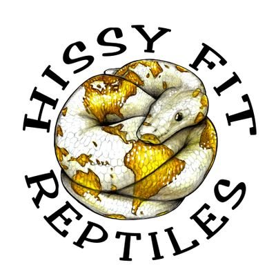 Specializing in the breeding of quality designer ball python morphs! Stay up to date with everything I have going on here at Hissy Fit Reptiles.