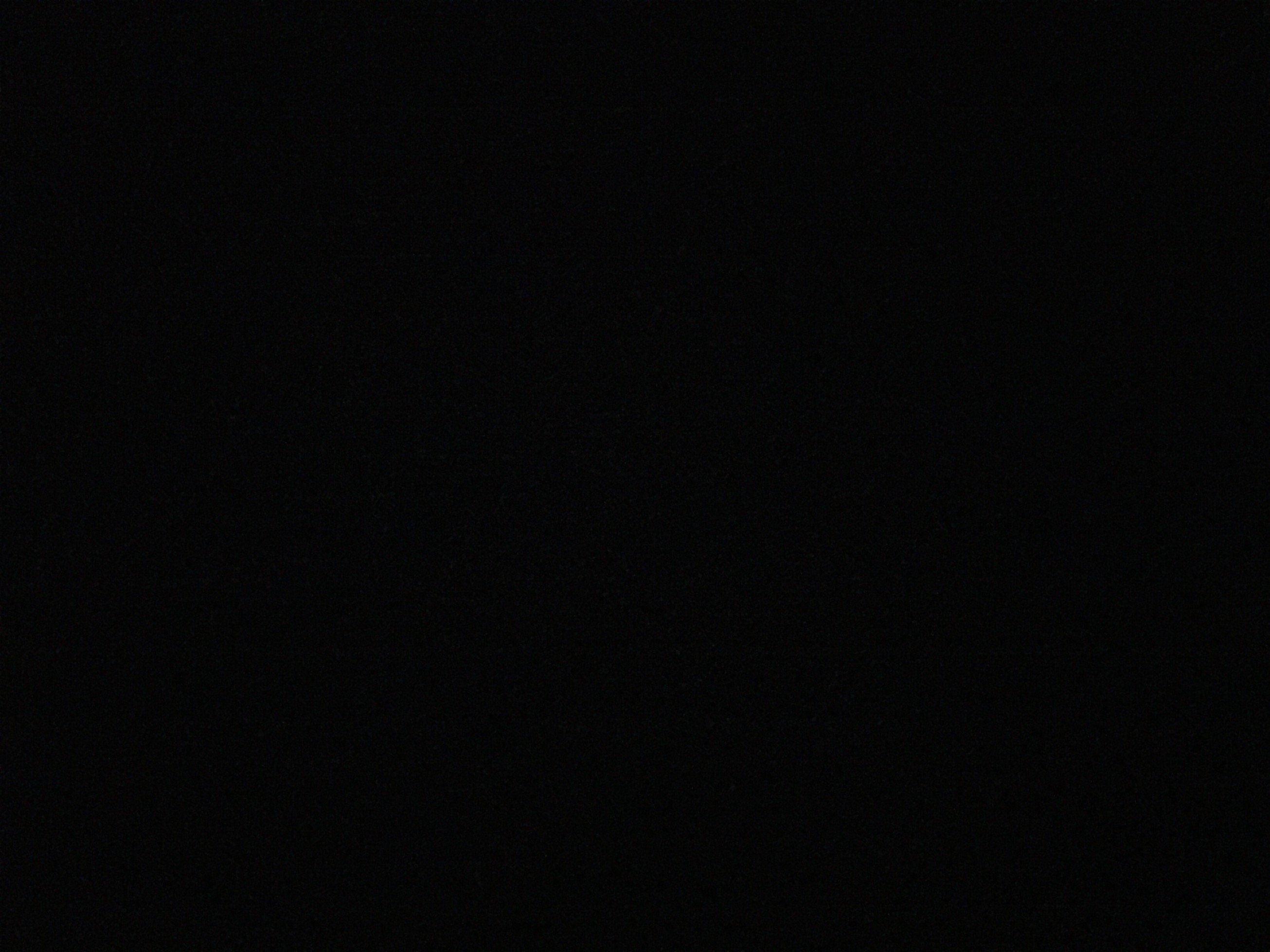 zetaphieta_'s profile picture. ZΦH •  • ZΦH