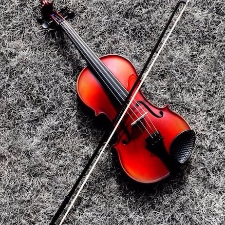 kothlin's profile picture. 