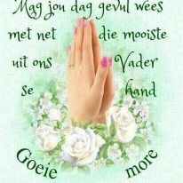 BoogieDaniel's profile picture. 