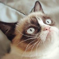 luminousmen (@luminousmen) 's Twitter Profile