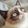 luminousmen's profile picture. Senior Data Engineer @Spotify | Blogging at https://t.co/ZrcSE7WJOu about Data Engineering, Python, ML | Author of Grokking Concurrency