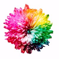 COLOURlovers (@colourlovers) 's Twitter Profile