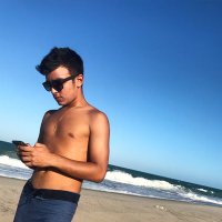 Andre Vinicius (@avfernandesbraz) 's Twitter Profile