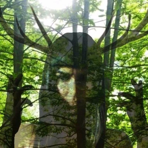 Creando un #bosquehumano que cobije a todos los #árboles. Creating a #humanforest that shelter all the #trees. https://t.co/aJmUiEu4dk