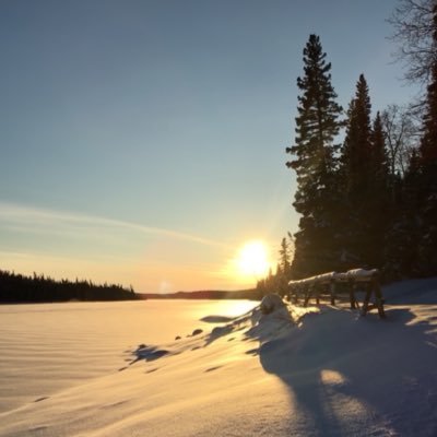 JanzenJoanne's profile picture. 