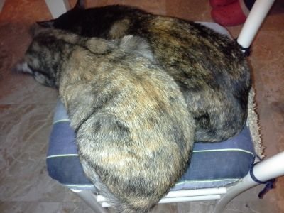 St3f4n0mn62's profile picture. 