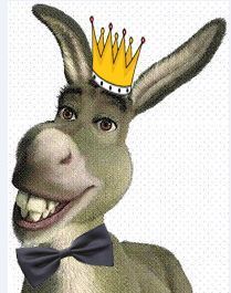 Izzatdaar Gadhe refers to all successful Entrepreneur,Intrapreneur,leaders,champions,etc. who have achieved remarkable positions via their hard&smart work.