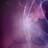 sansaini's profile image