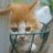 ryu_884 #FM&#CFSのアイコン