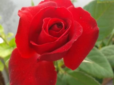 الصحة والرشاقة الموضة والجمال الأعمال المنزلية والبيت صور مثيرة للاهتمام نمط الحياة أفلام الموضة والجمال الموسيقى