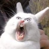 DanBenallick's profile picture. 3D Animator!, YouTube watcher..... COOKIE CLICKER.. that's about it :P