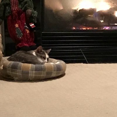 BenLohrke15's profile picture. I work over at true value 2 days a week I go to the gym 2 days a week drink a lot of coffee and drink a lot of coffee and water and sleep a lot