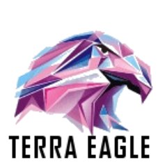 terraeagletech's profile picture. World class cybersecurity company
