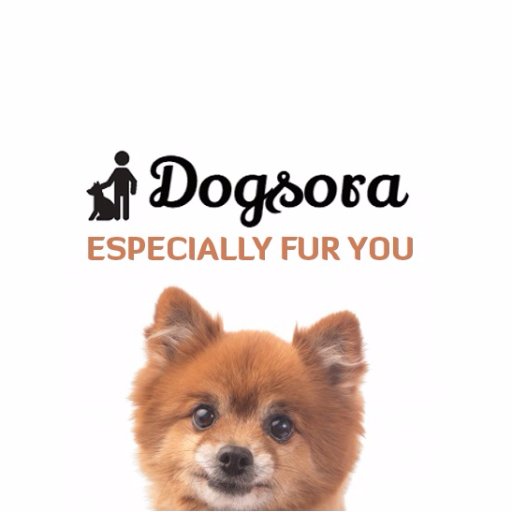 Dogsora- Official Twitter Account. Join us, dog lovers community. We care for dogs.