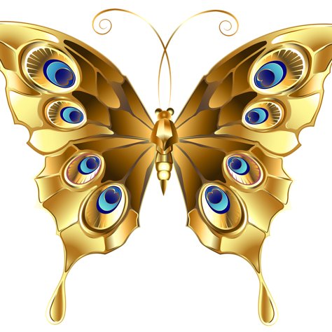 AurumButterfly's profile picture. Main Twitter account I am an English Major. I am 24 years old and finishing up my last year in college.