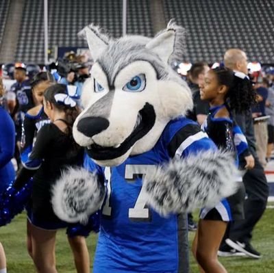 The official twitter account of the Chandler High (aka school of champions) mascot Scruffy!