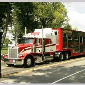 Creech Horse Transportation is a 4th generation family business specializing in full-service horse transportation throughout US and Canada.