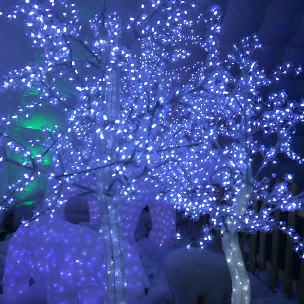 KatieKayClark's profile picture. Graphic Designer