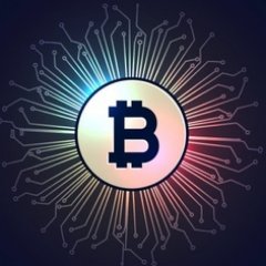 bitcoin_tools's profile picture. 