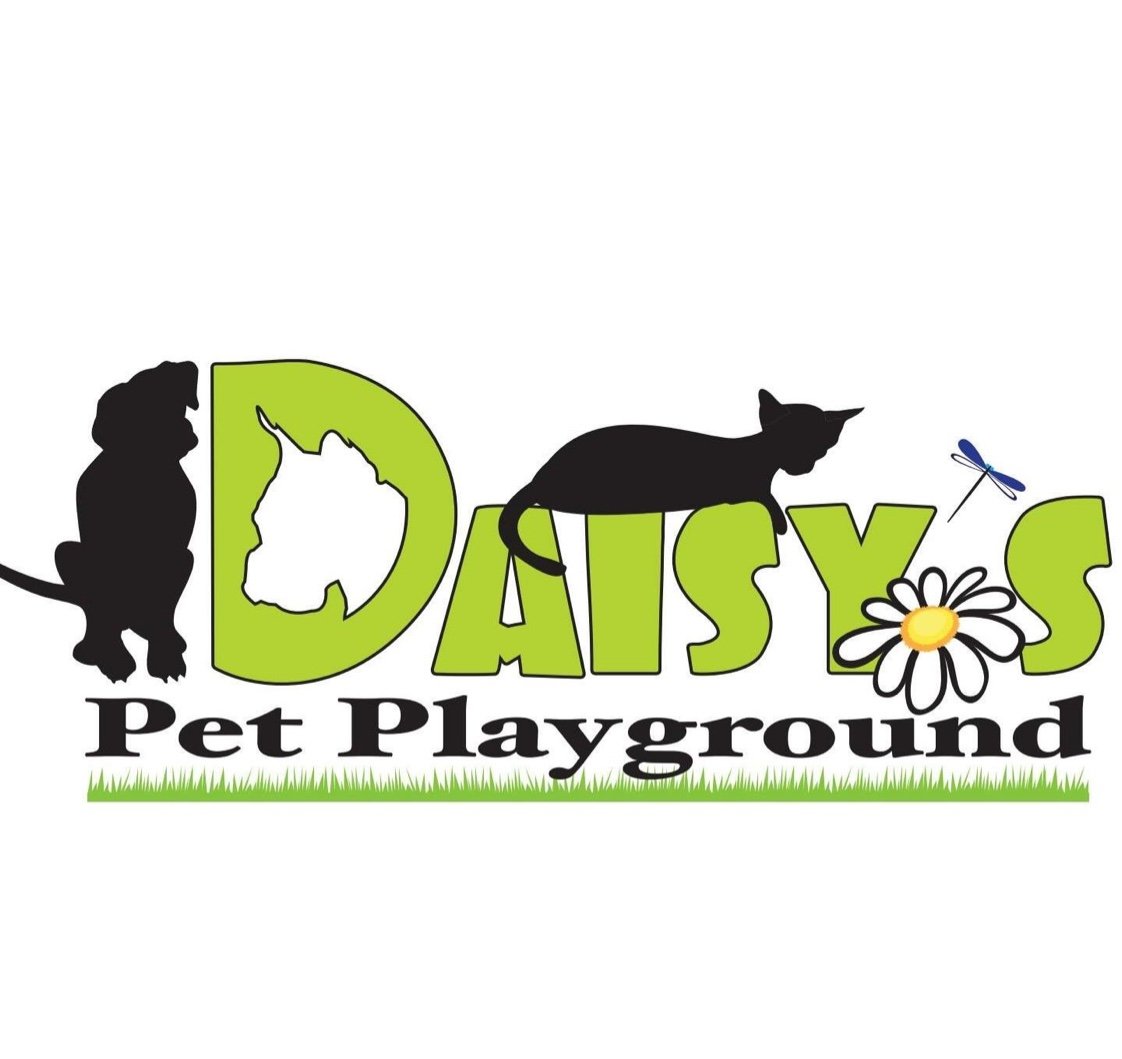Daisy's Pet Playground
