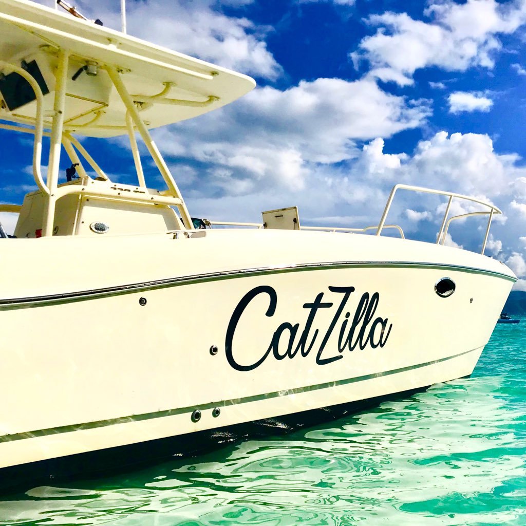 Love City Excursions, based on St John in the US Virgin Islands, provides private day charters on 33' world cat, CatZilla, both in the USVI and BVI.