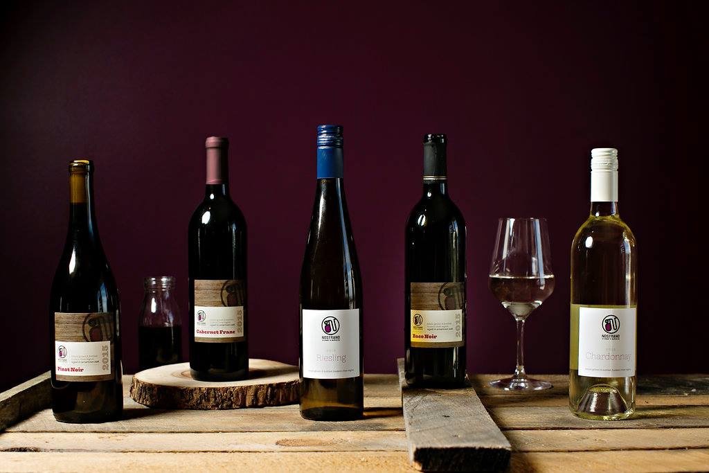 NostranoVines's profile picture. Family owned & operated 75-Acre Farm, Vineyard + Boutique Winery In The Hudson Valley producing a selection of Estate Grown Wines.