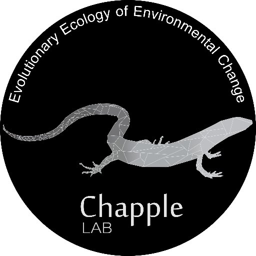 Dave Chapple's Research Group - Monash Uni, Australia. We are a research lab investigating the evolutionary ecology of environmental change. #lizard #skink