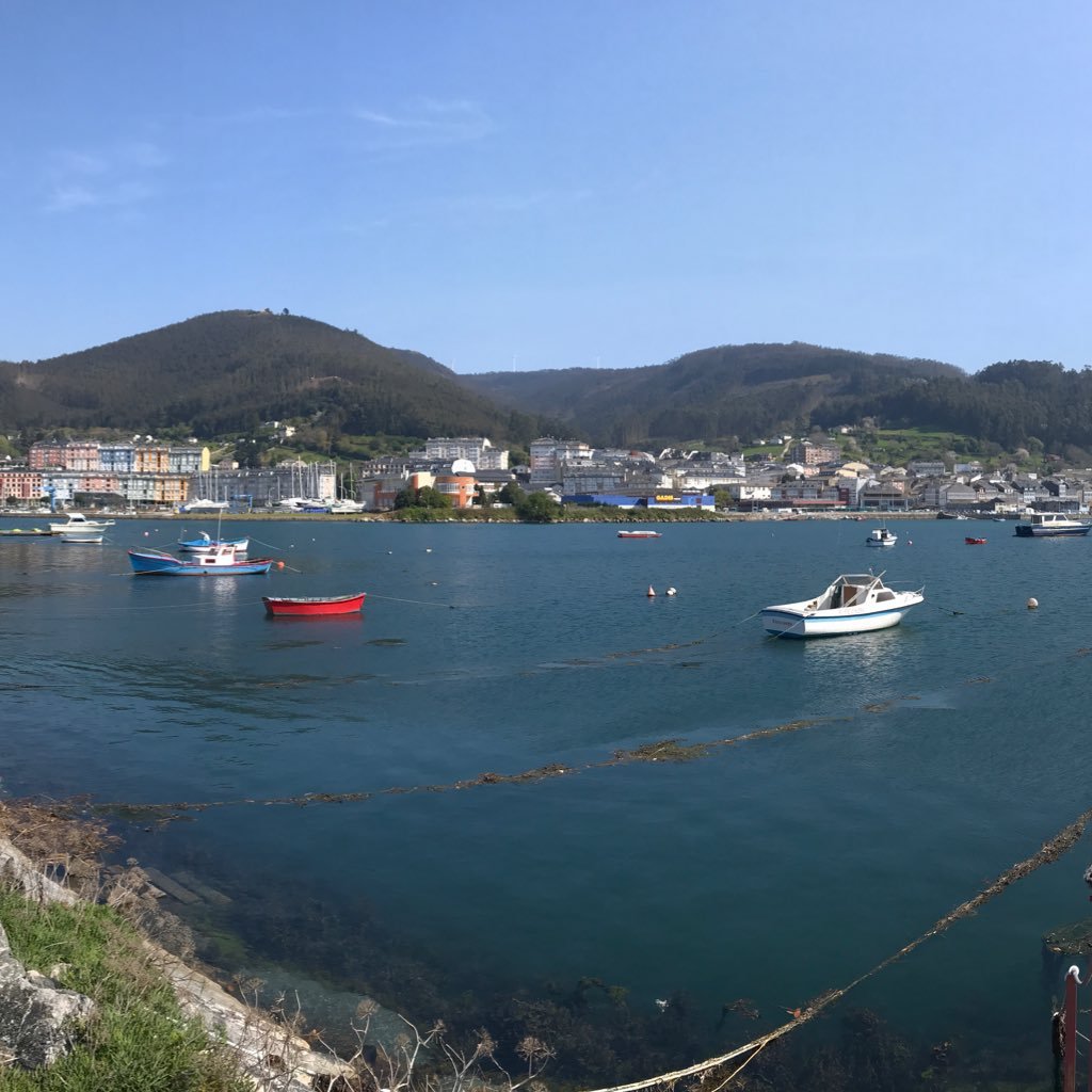 CJFdezAlvz's profile picture. 