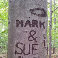 Mark Pepe (@markandsuepepe) 's Twitter Profile