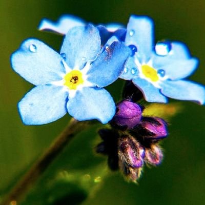 xE9QiAUO26OdCrs's profile picture. 