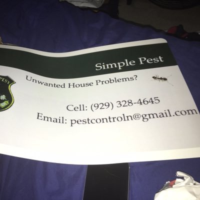 Bed Bugs Insects Ipm Mice Pest Pest Control Roach Termite