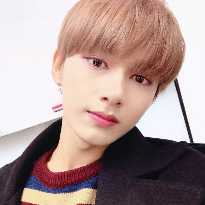 @pledis_17🐼SEVENTEEN의PerformanceTeam。今宵、君は僕のものになる